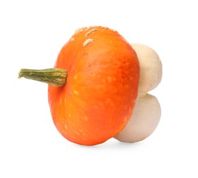 One fresh ripe pumpkin isolated on white
