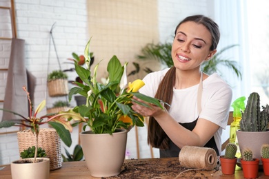 Photo of Young woman taking care of potted plants at home