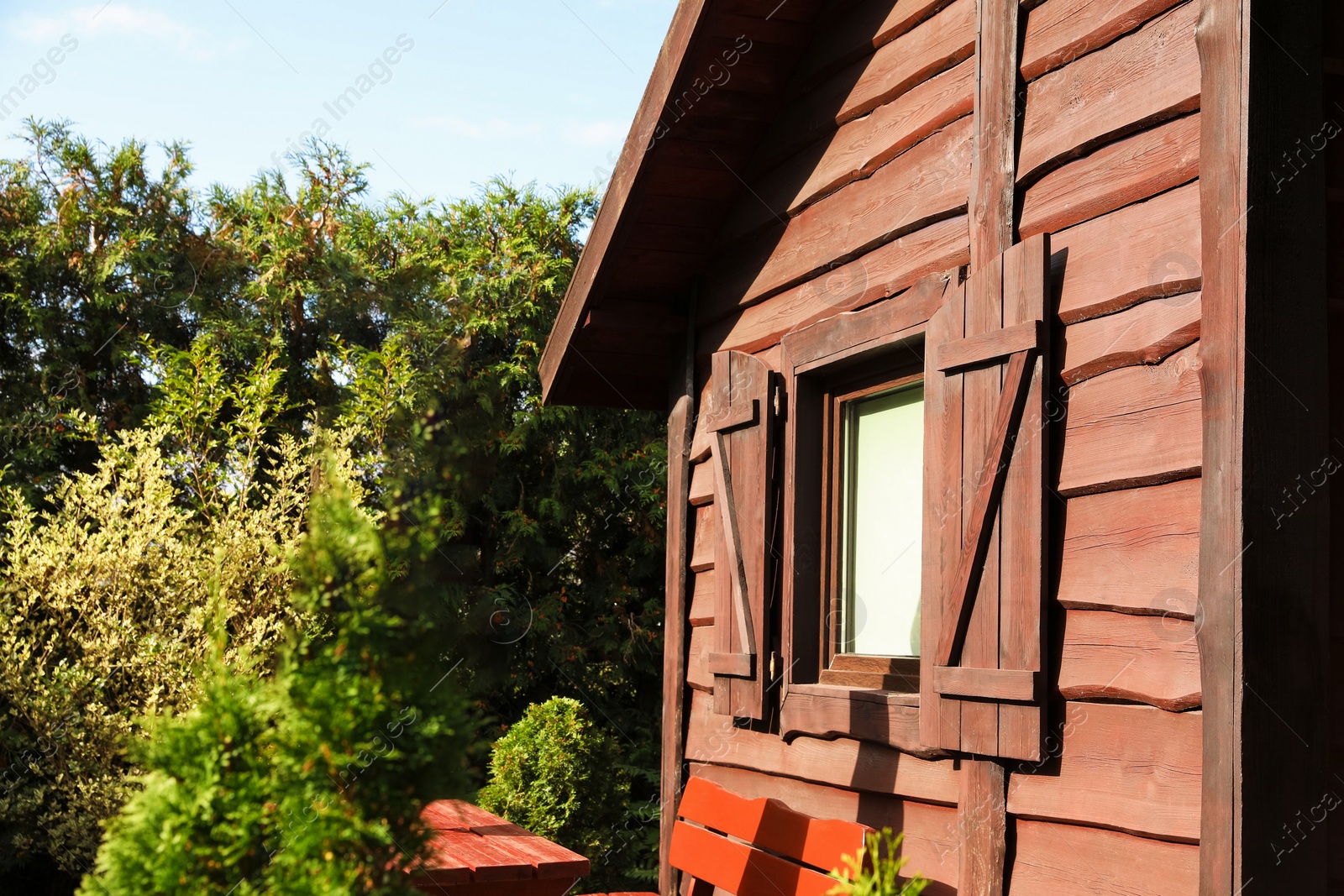 Photo of Exterior of cozy wooden house surrounded by lush nature on sunny day, closeup