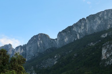 Photo of Big mountains and trees under blue sky on sunny day