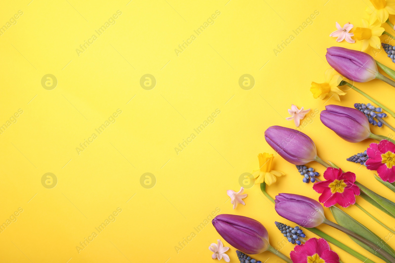 Photo of Beautiful different flowers on yellow background, flat lay. Space for text