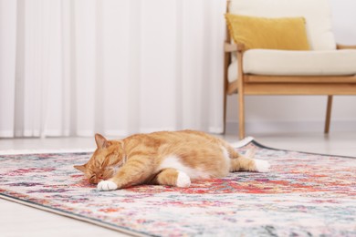 Photo of Cute ginger cat lying on carpet at home