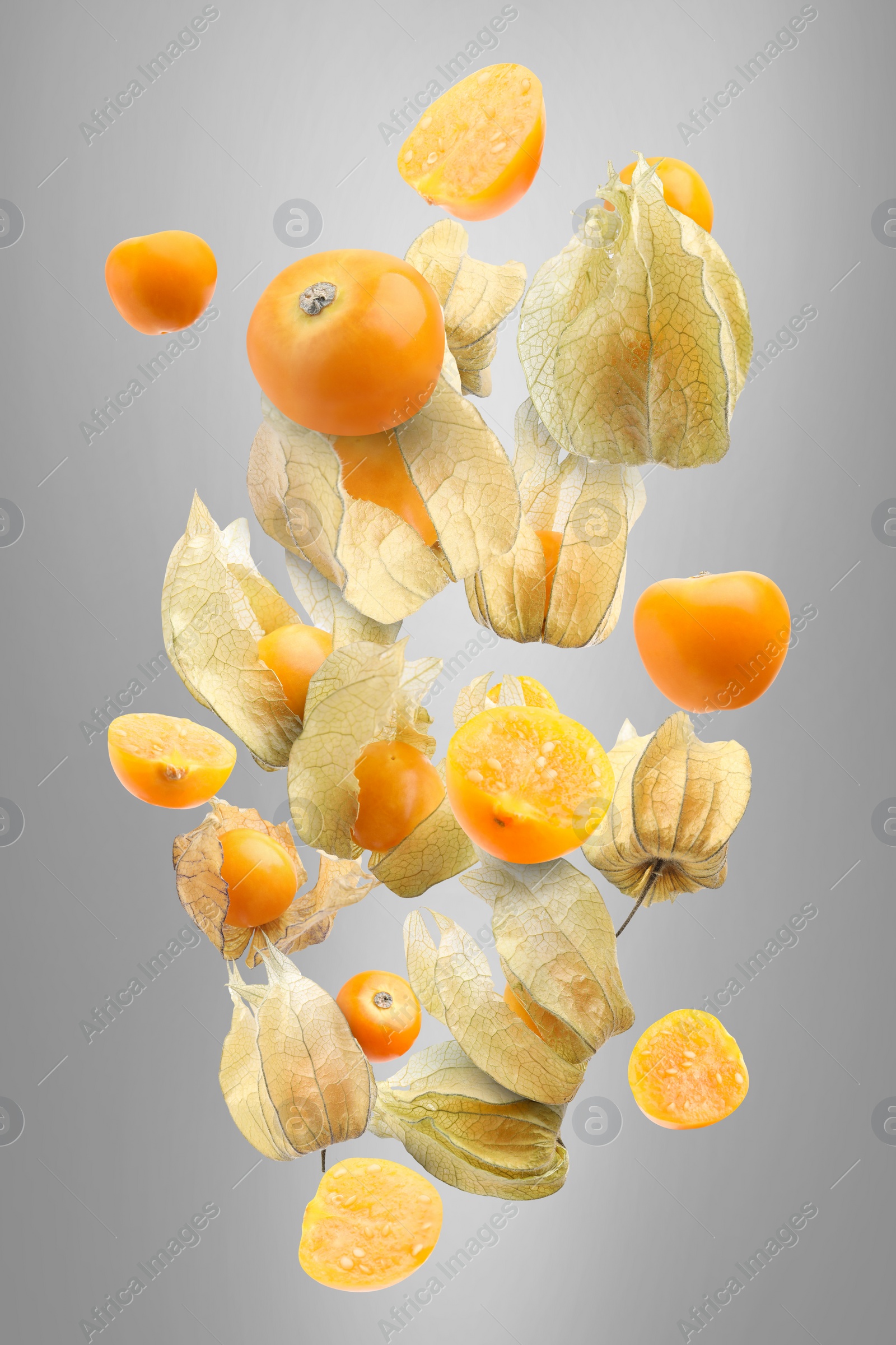 Image of Ripe orange physalis fruits with calyx falling on grey gradient background