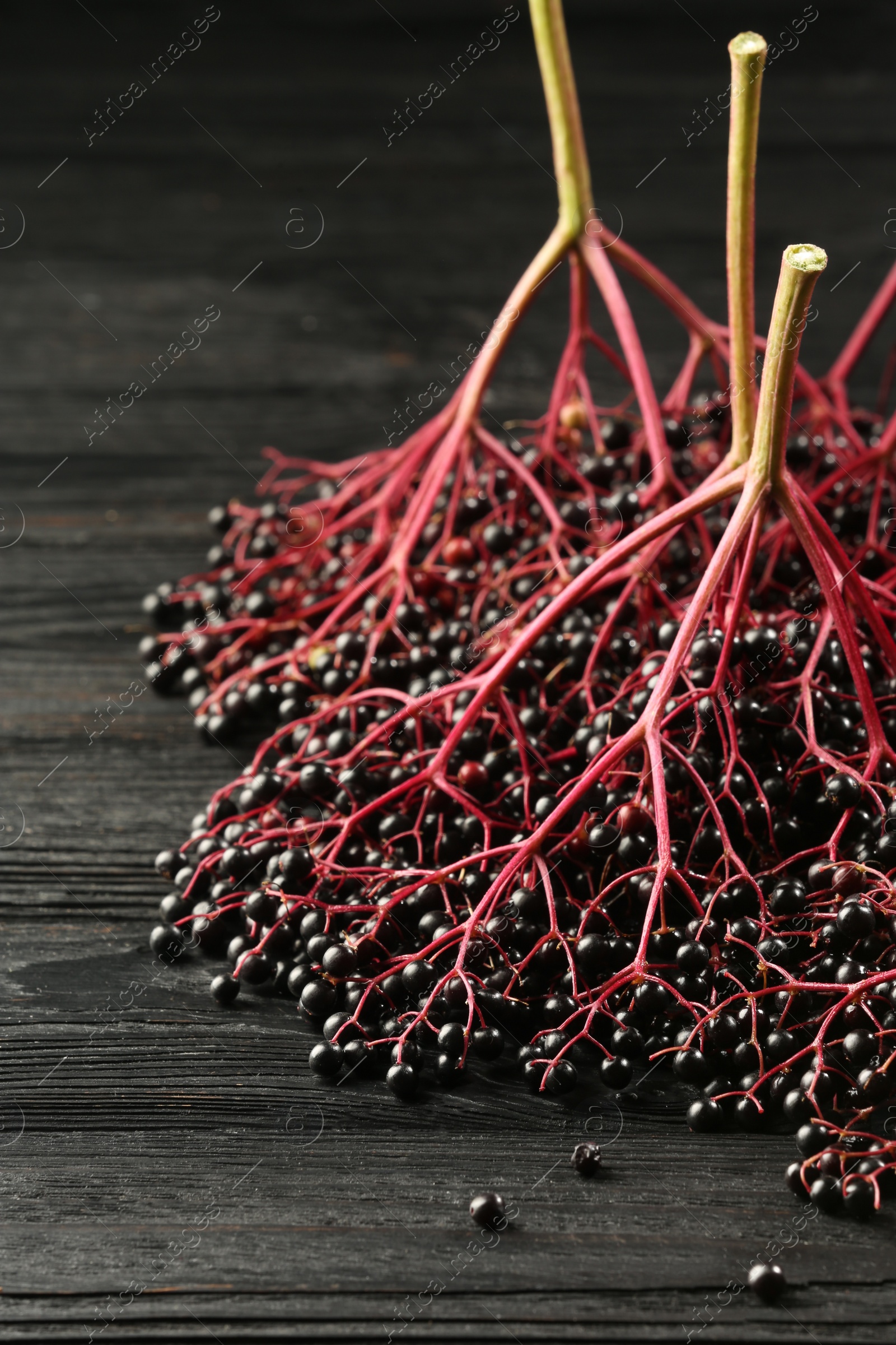 Photo of Bunches of ripe elderberries on black wooden table