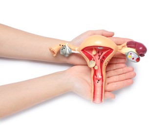 Photo of Woman holding model of female reproductive system on white background, top view. Gynecological care