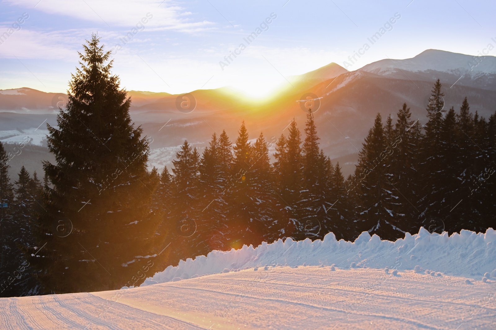 Photo of Beautiful mountain landscape with sunlit forest in winter