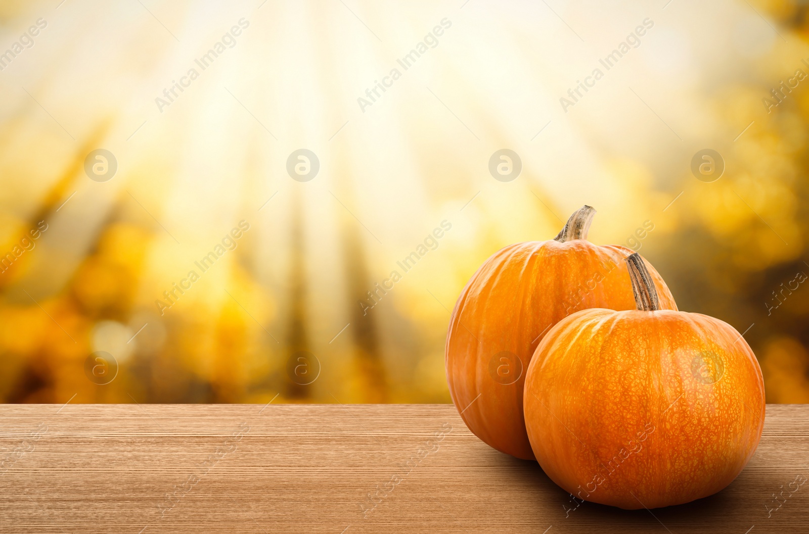 Image of Wooden table with fresh pumpkins outdoors on sunny autumn day. Space for text