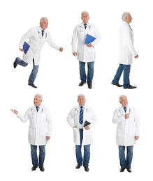 Image of Collage with photos of senior doctor on white background 