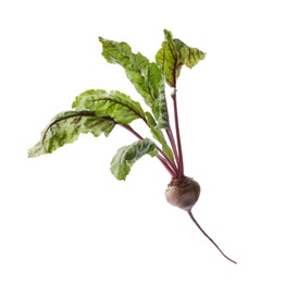 Photo of Fresh beet with leaves on white background