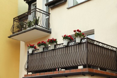 Stylish balconies decorated with beautiful potted plants