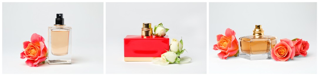 Set with different bottles of perfume and flowers on white background. Banner design