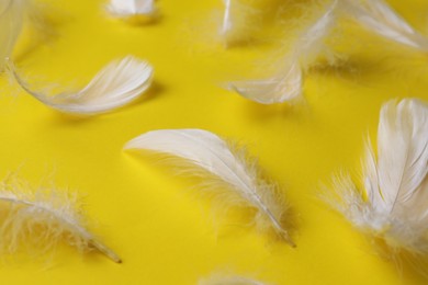 Photo of Many fluffy bird feathers on yellow background, closeup