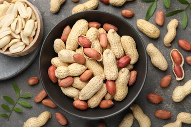 Fresh peanuts and twigs on grey table, flat lay