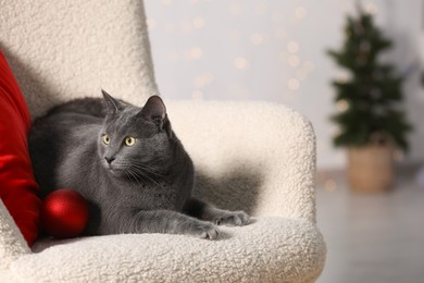 Cute cat with Christmas ball on armchair at home