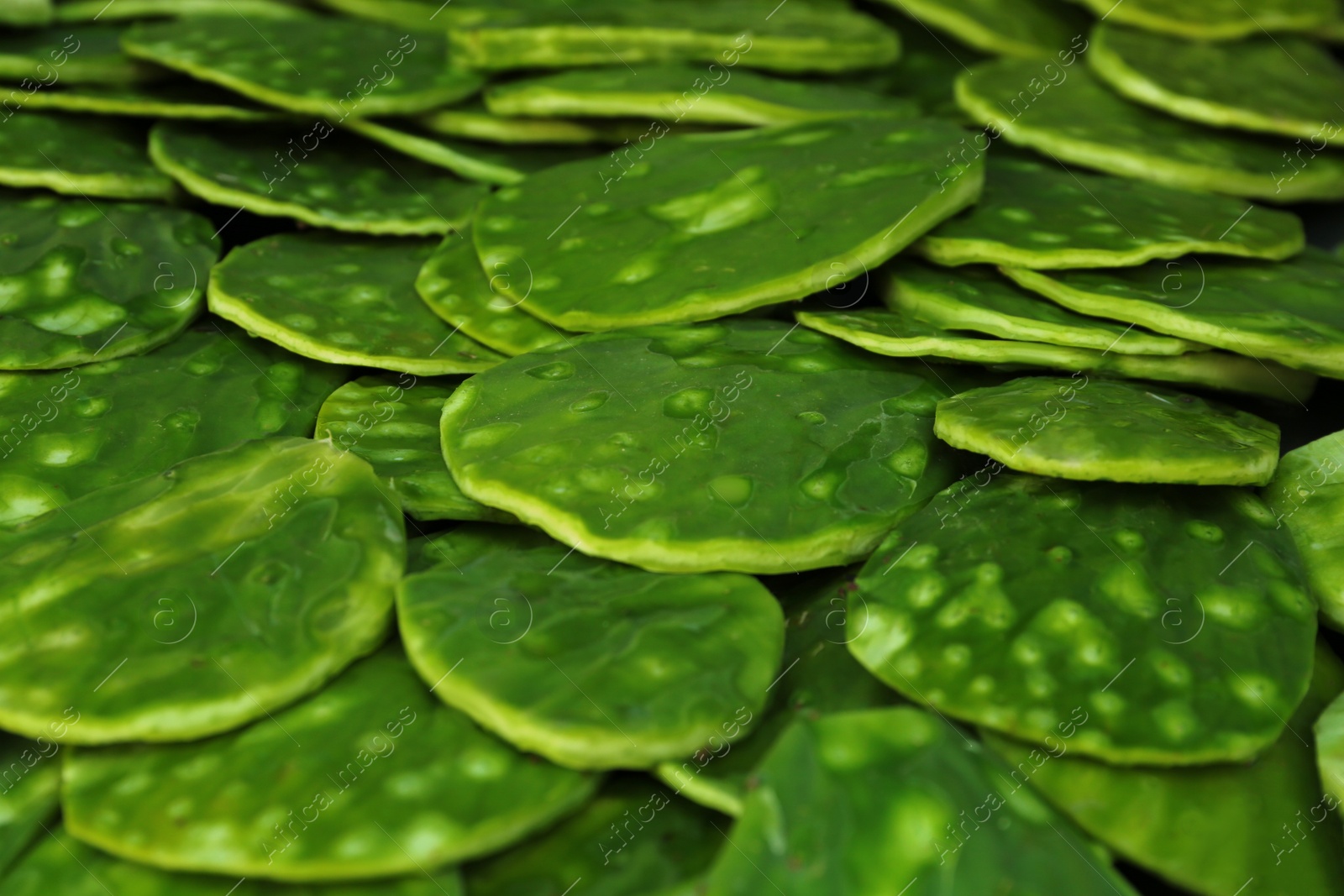 Photo of Heap of fresh nopal leaves as background, closeup