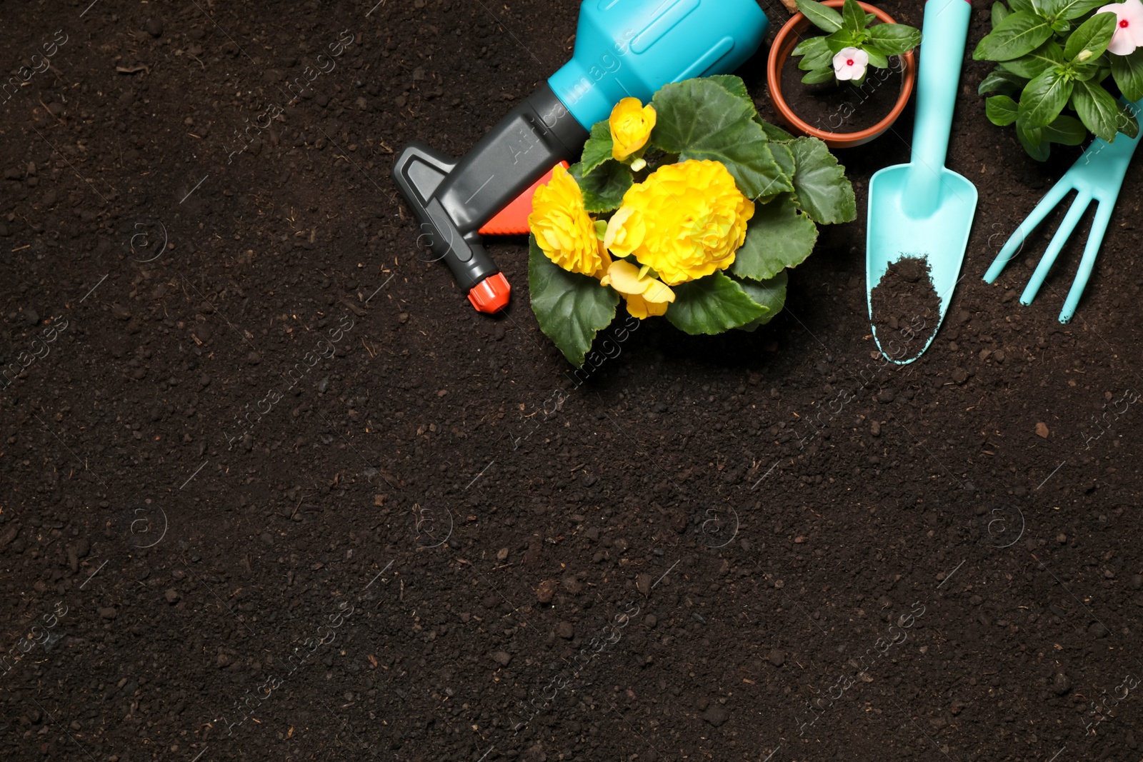 Photo of Flat lay composition with gardening equipment and flowers on soil, space for text