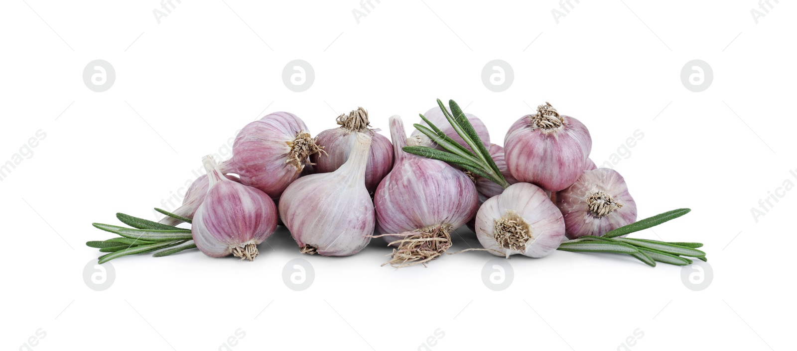 Photo of Fresh garlic bulbs and rosemary isolated on white