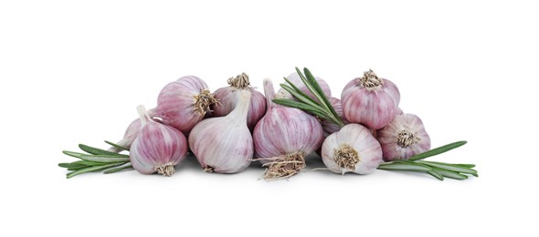 Photo of Fresh garlic bulbs and rosemary isolated on white