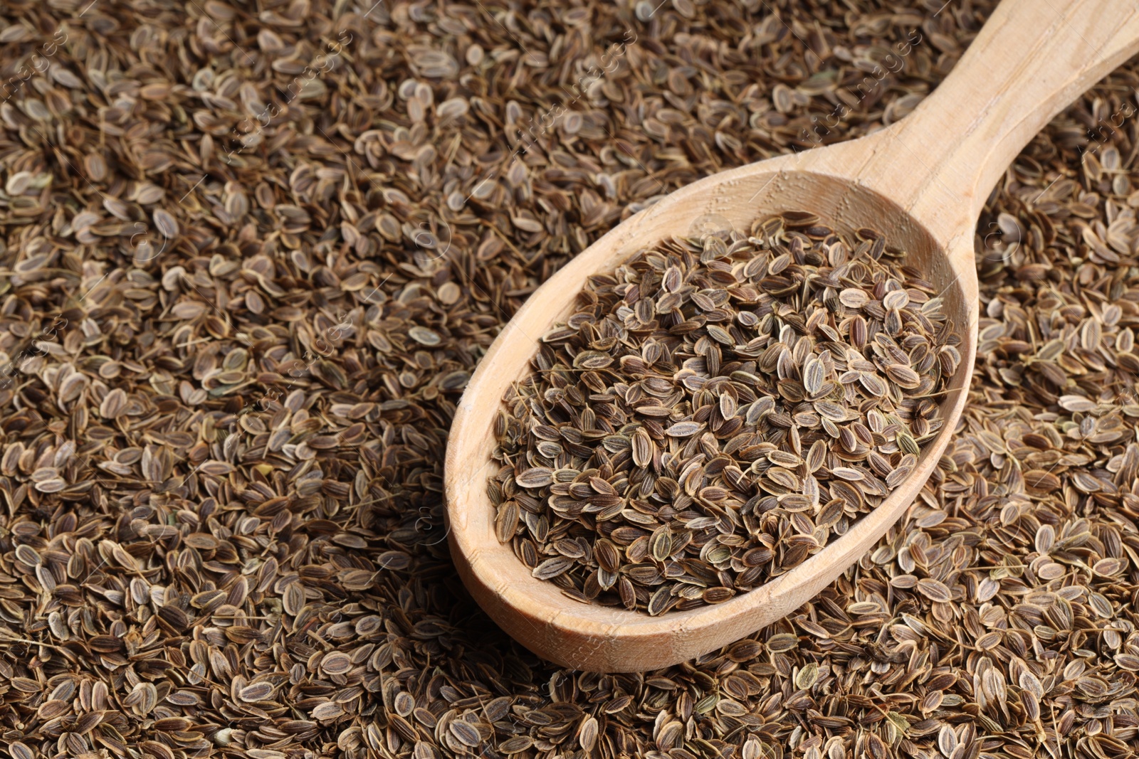 Photo of Dry dill seeds and wooden spoon, closeup. Space for text