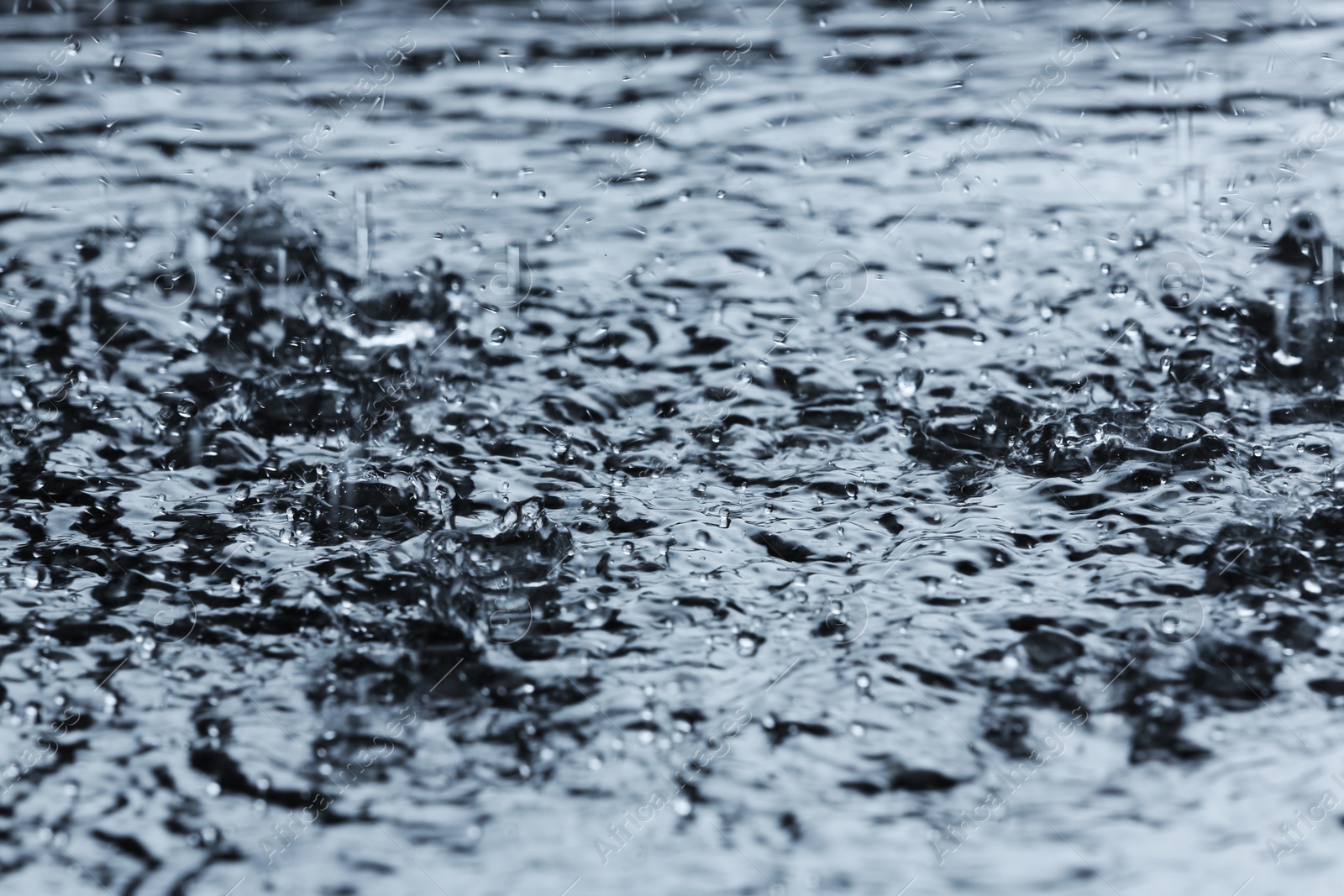 Photo of Heavy rain falling down into puddle outdoors