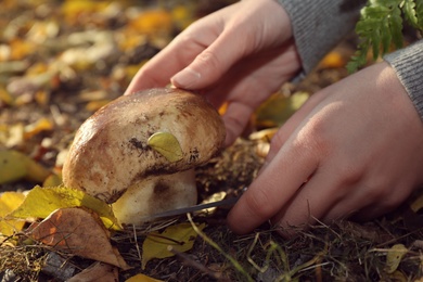 Photo of Woman with knife cutting fresh wild mushroom in forest, closeup