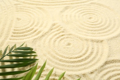 Photo of Zen rock garden. Circle patterns and green leaves on beige sand, closeup