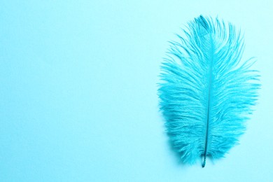 Beautiful delicate feather on light blue background, top view