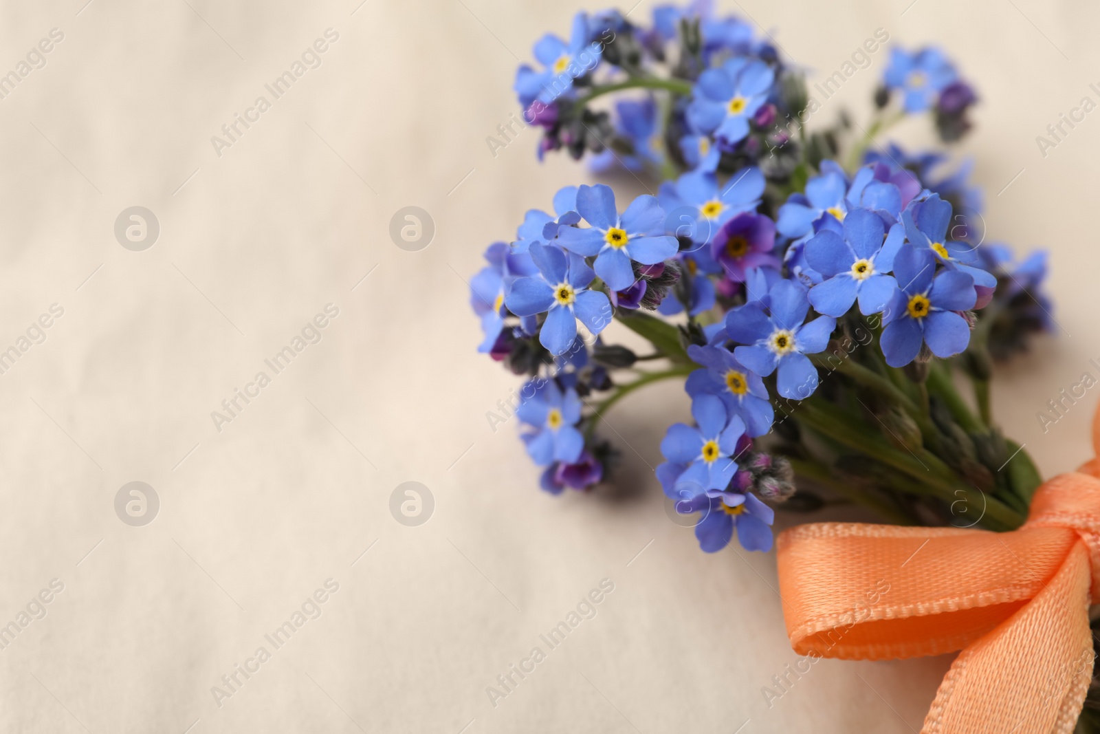 Photo of Beautiful blue forget-me-not flowers tied with ribbon on light background, closeup. Space for text