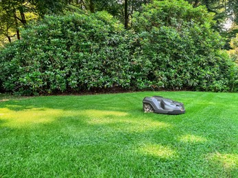 Photo of Modern robot lawn mower on green grass in garden