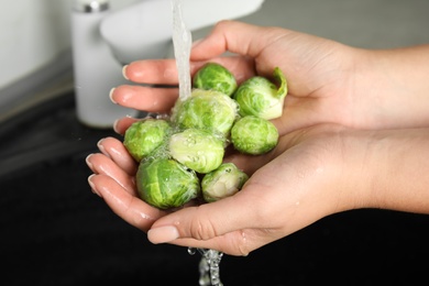 Woman washing Brussels sprouts with running water over sink, closeup