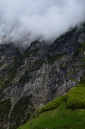 Photo of View of green trees in mountains covered with fog