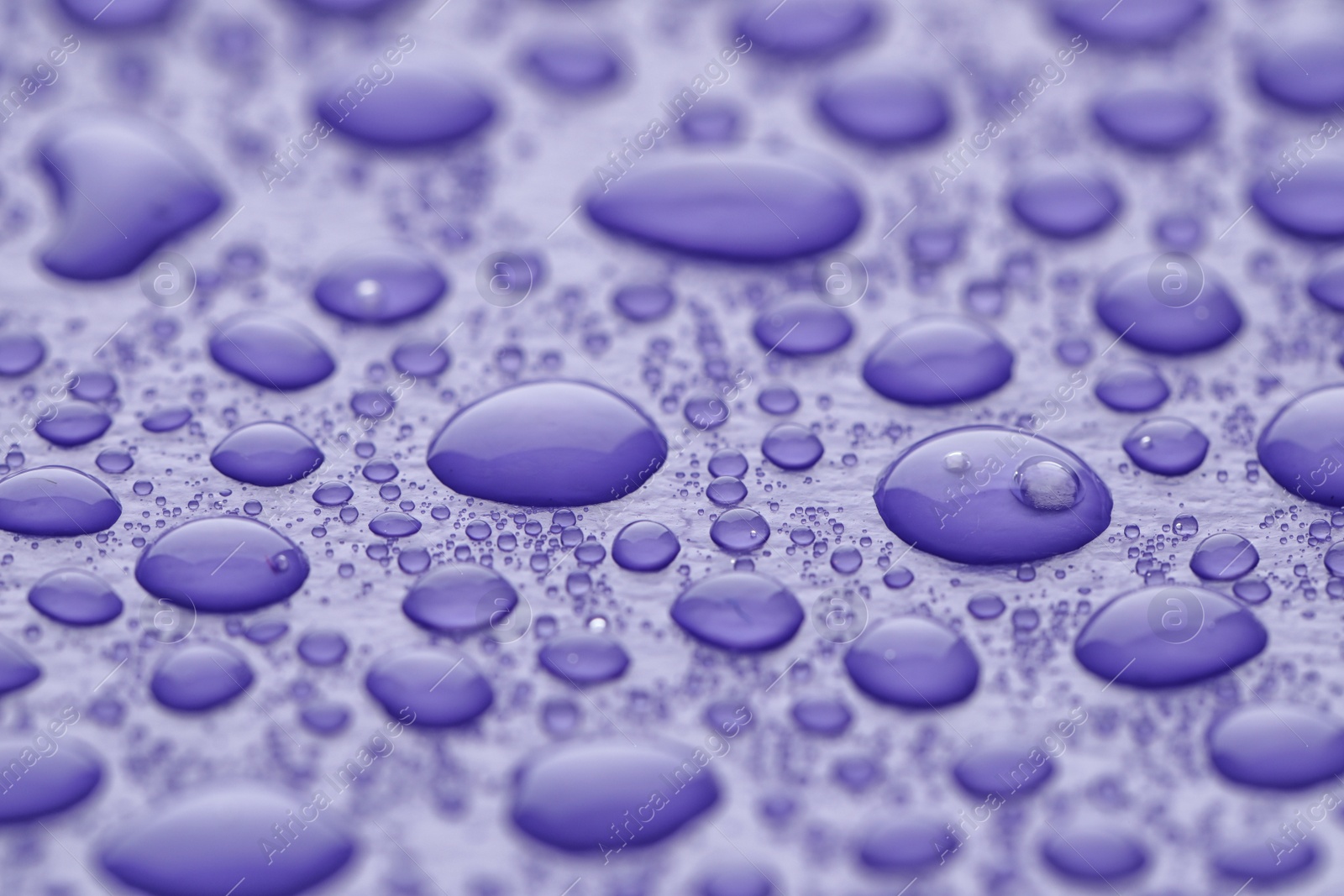 Photo of Water drops on lilac background, closeup view