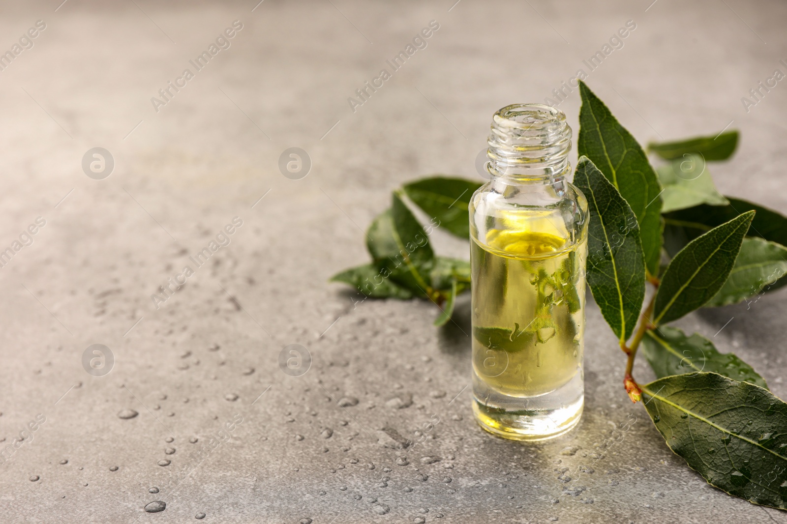 Photo of Bottle of bay essential oil and fresh leaves on light grey table. Space for text