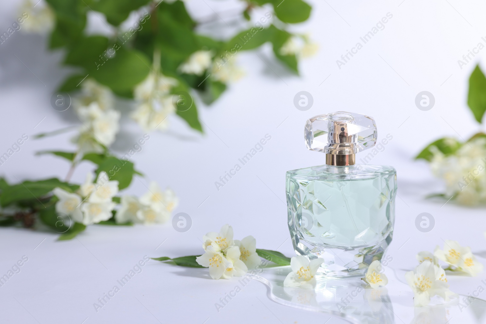 Photo of Aromatic perfume in bottle and beautiful jasmine flowers on white background