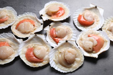 Photo of Many fresh raw scallops in shells on grey table