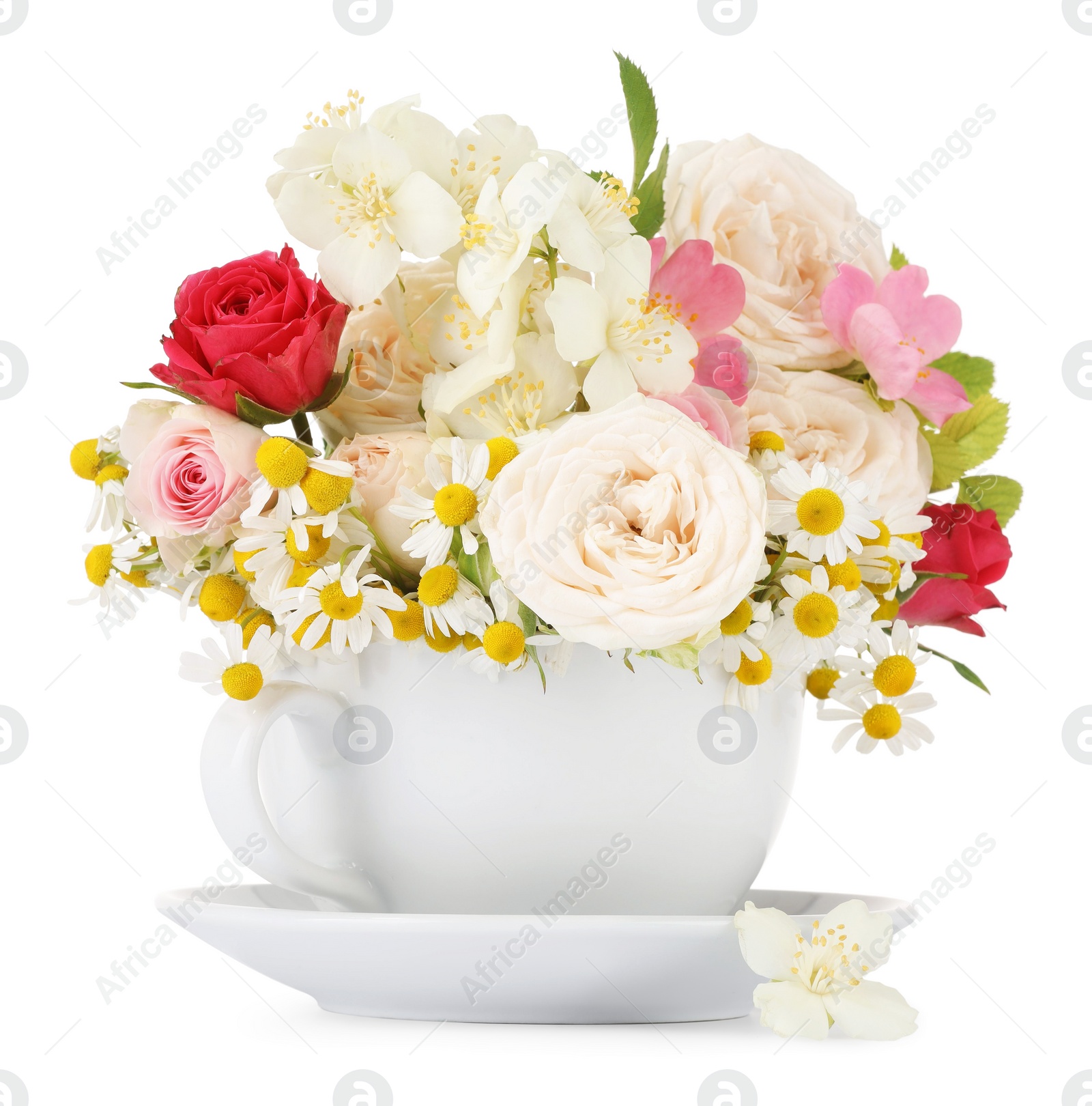 Photo of Aromatic herbal tea in cup with different flowers isolated on white