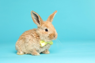 Adorable furry Easter bunny with cute bow tie on color background, space for text