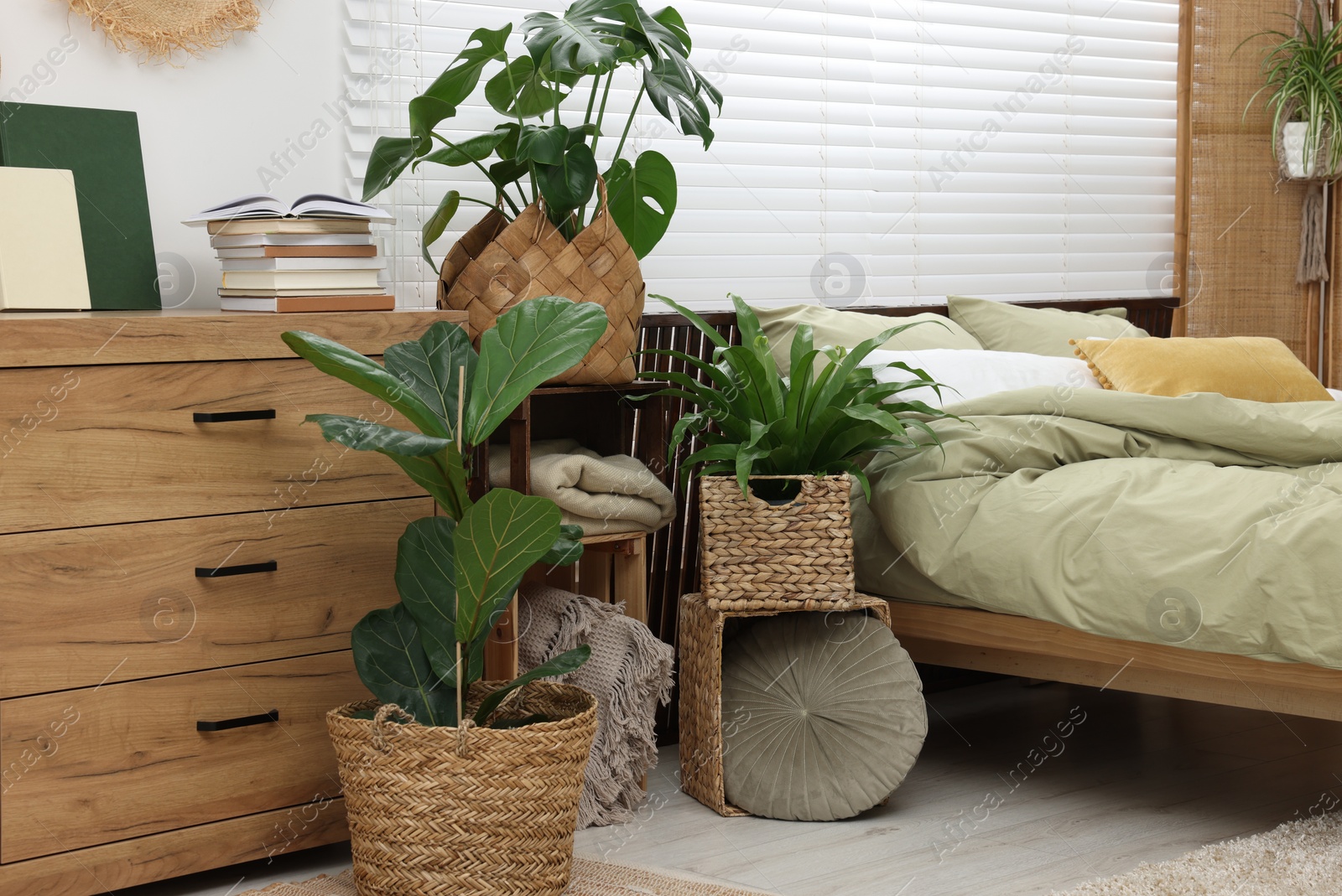 Photo of Comfortable bed and beautiful green houseplants in bedroom