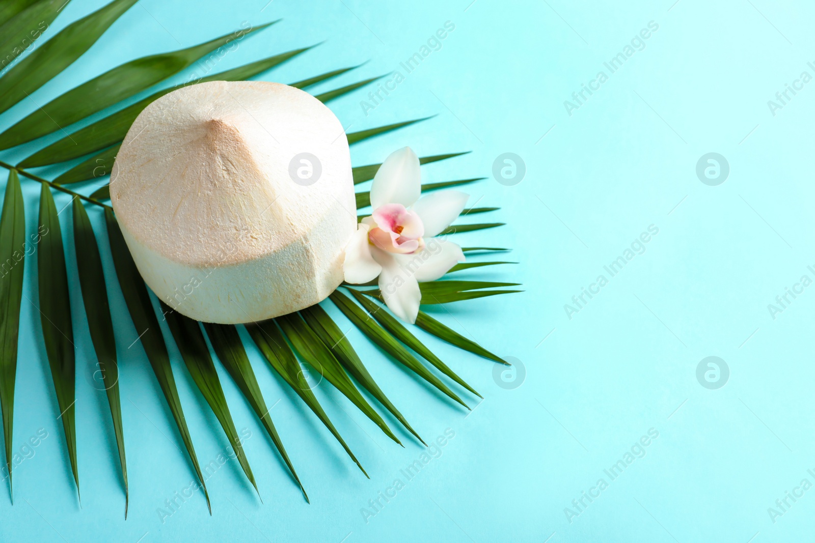 Photo of Composition with fresh peeled coconut on color background