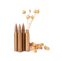 Bullets and cartridge case with beautiful dry plant isolated on white