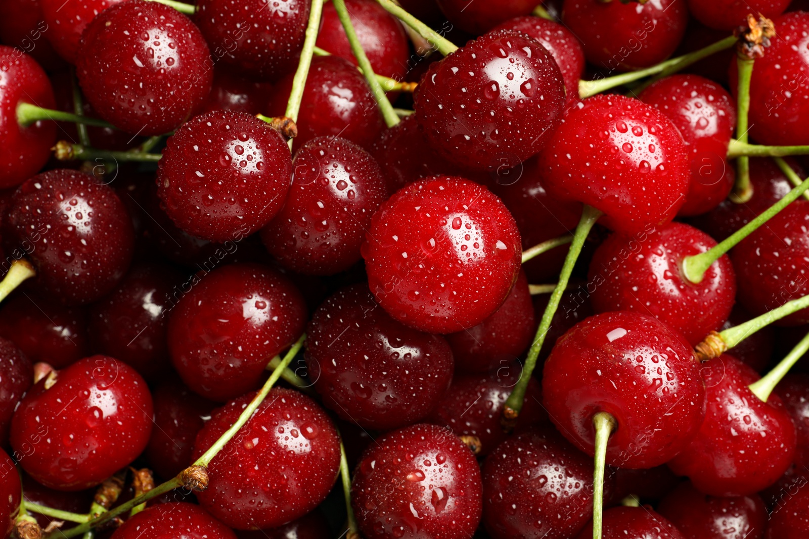 Photo of Sweet red cherries with water drops as background, closeup