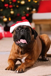 Photo of Cute dog wearing small Santa hat at home