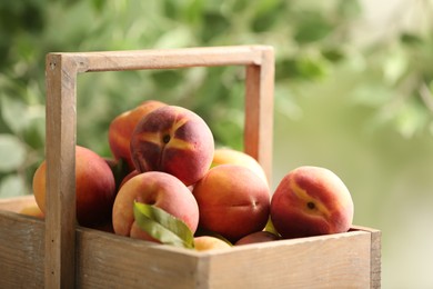 Photo of Fresh sweet peaches in wooden crate outdoors, closeup