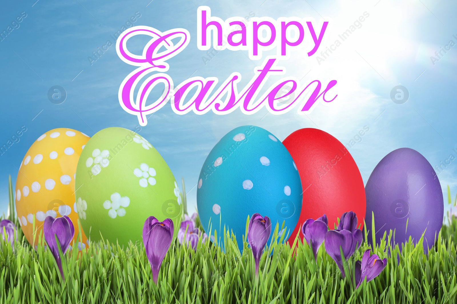 Image of Happy Easter. Bright eggs and spring flowers on green grass outdoors