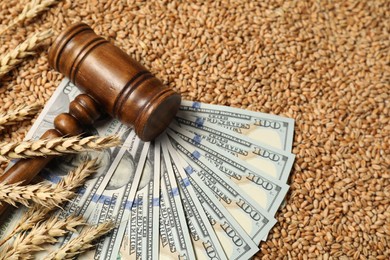 Dollar banknotes, wooden gavel and wheat ears on grains, closeup. Agricultural business