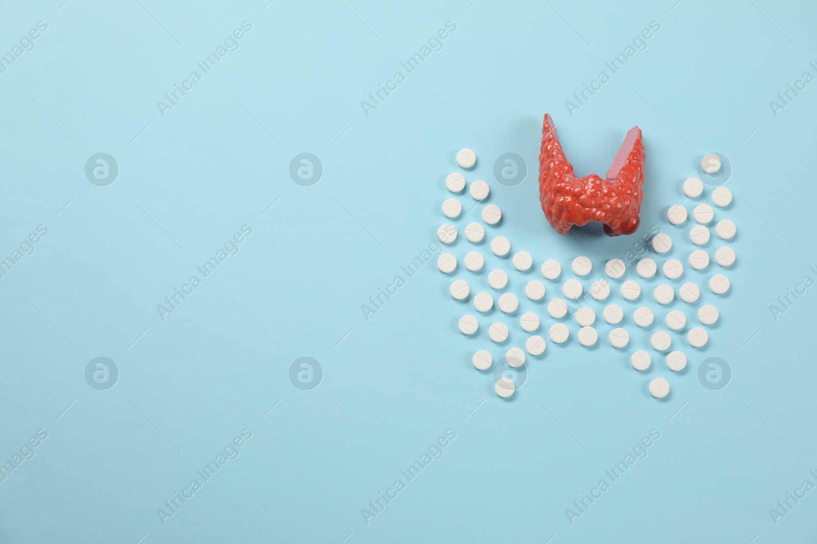 Photo of Endocrinology, Pills and model of thyroid gland on light blue background, flat lay. Space for text