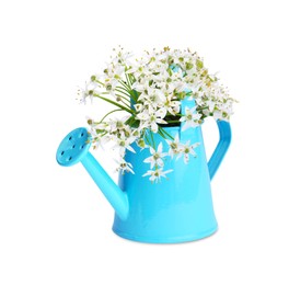Photo of Beautiful bouquet of wildflowers in watering can isolated on white