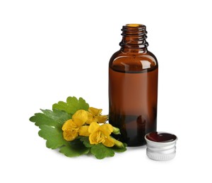 Photo of Bottle of celandine tincture and plant on white background