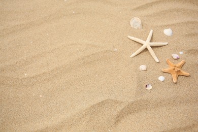 Photo of Beautiful starfishes and seashells on sand, space for text