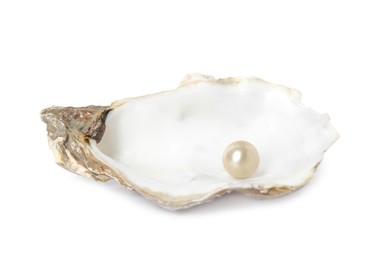 Photo of Oyster shell with pearl on white background